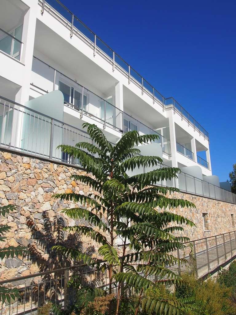 Best Western Hotel Acqua Novella Spotorno Exteriör bild